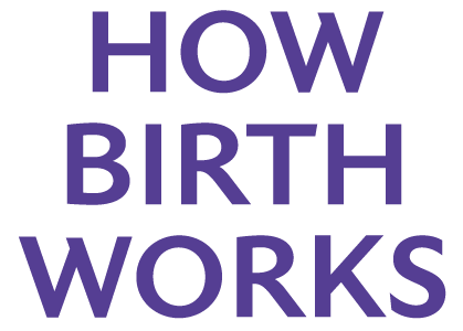 How birth works company logo